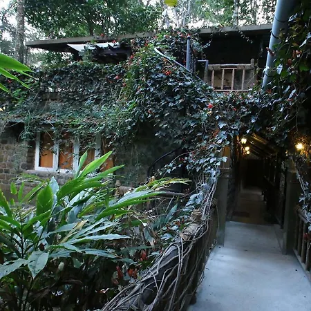 Greenspaces B&B